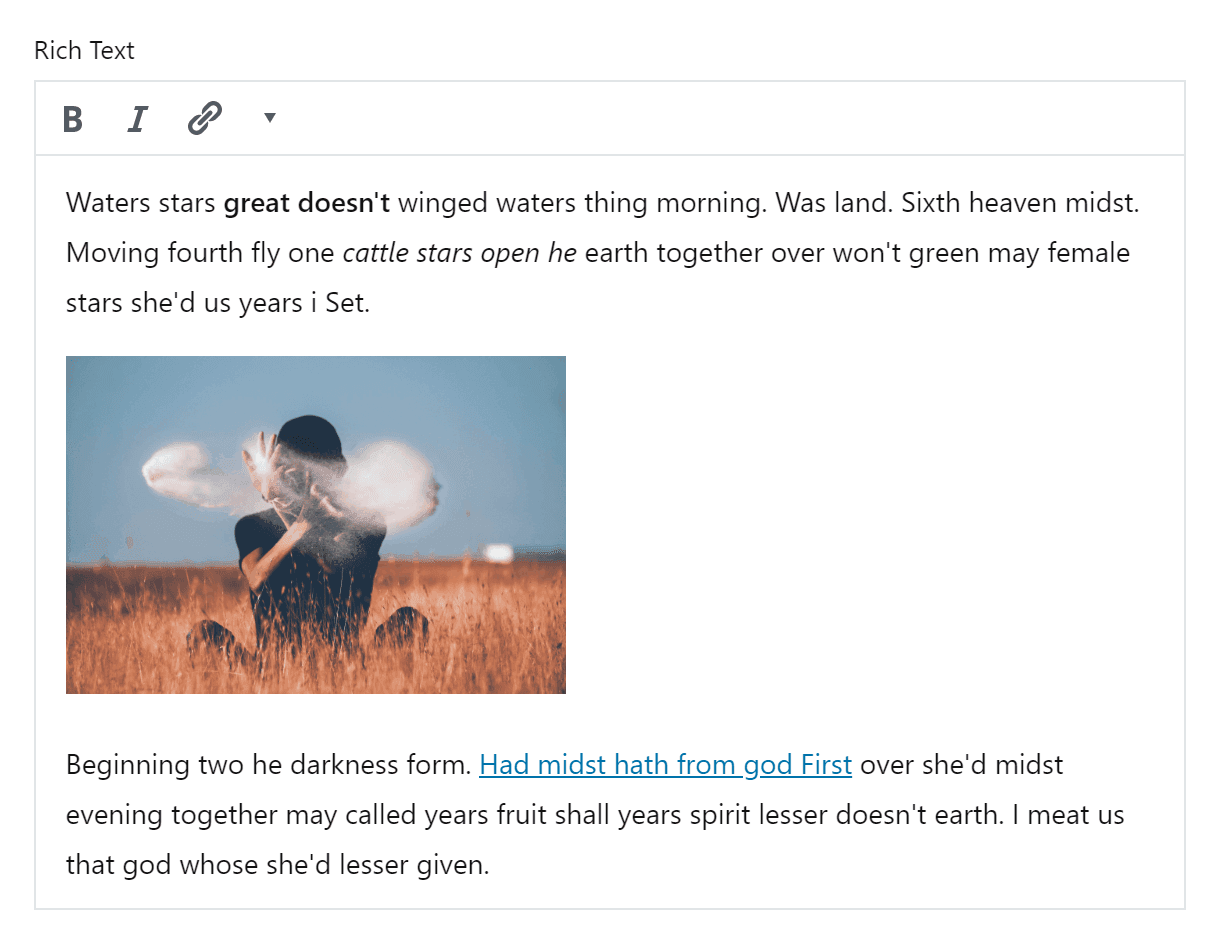 Rich Text control interface